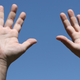 Illustration for article titled Why Aren’t Human Fingers All the Same Length?
